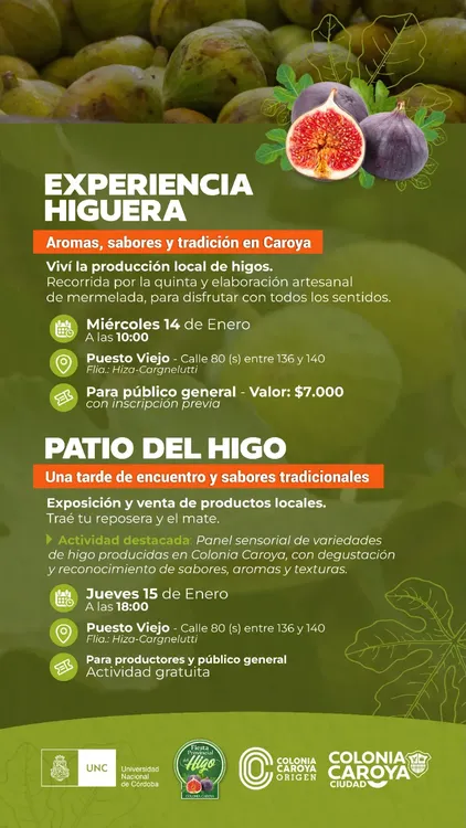 WhatsApp Image 2026-01-08 at 08.13.28