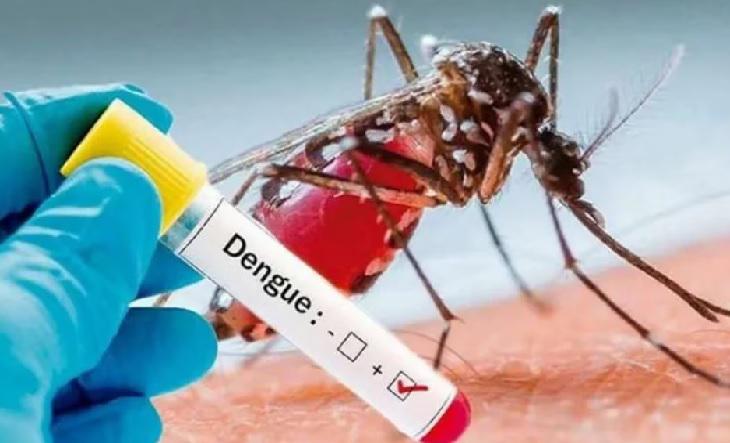 Dengue-ilustrativa-27032023-editada