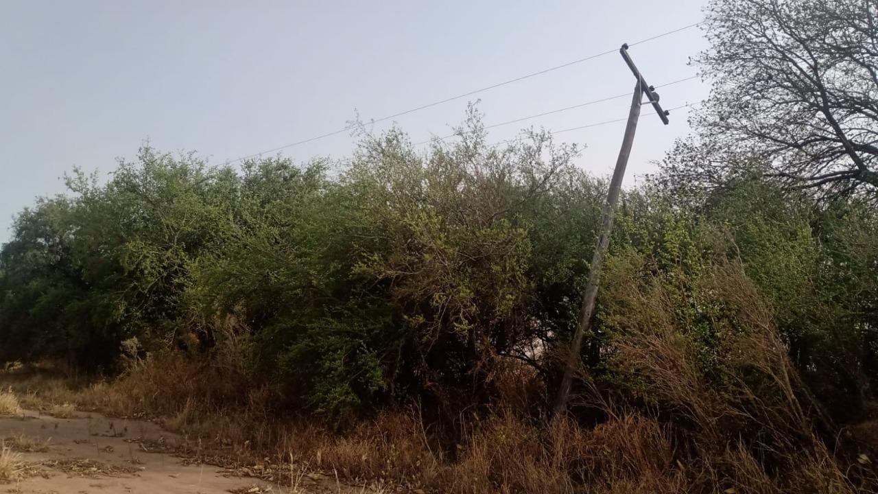 WhatsApp Image 2022-10-30 at 09.42.40