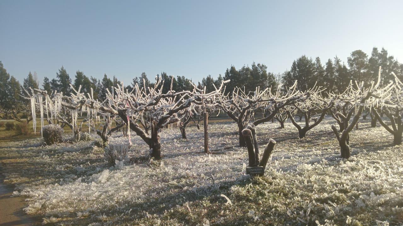 WhatsApp Image 2024-07-08 at 10.59.07