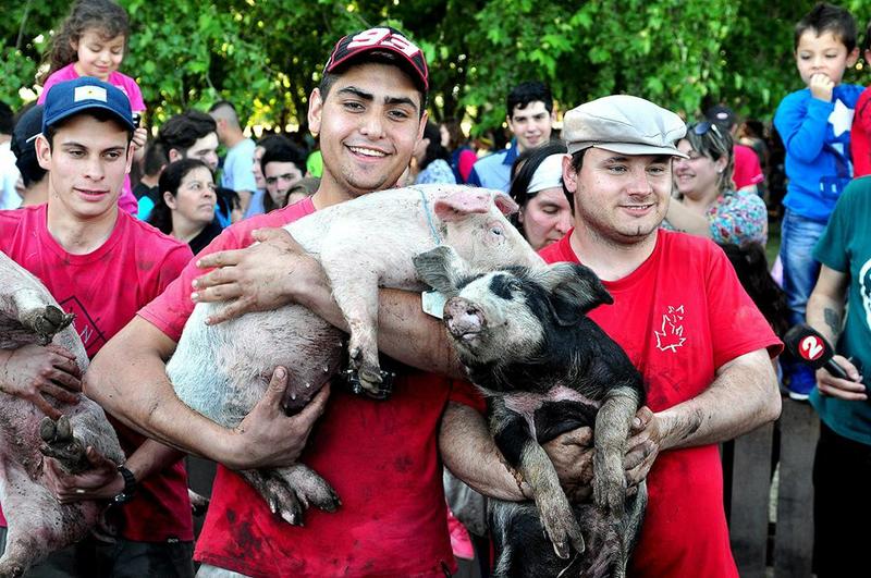 14713644_1775977935974591_6449625454605245682_n