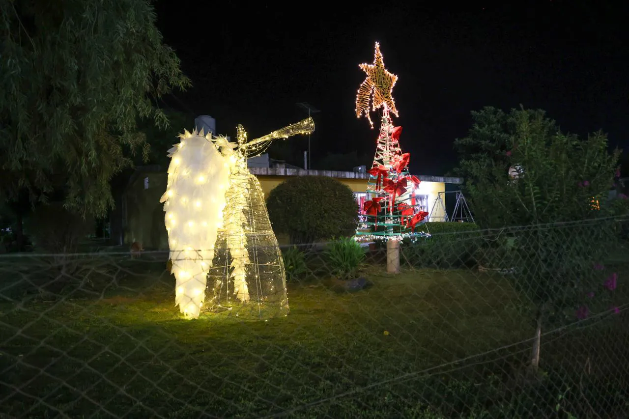 WhatsApp Image 2024-12-31 at 08.33.26